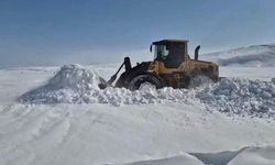 Varto'da 25 köy yolu ulaşıma kapandı