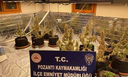 Villada uyuşturucu yetiştirmişler: Torbacı 'sevgililer' yakalandı, 4 kilo uyuşturucu ele geçirildi