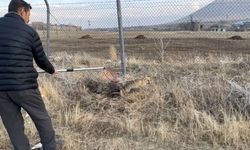 Yaralı kızıl tilki tedavi edilerek doğaya salındı