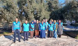 Yatağan'da zeytin hasadı ve bereket duası yapıldı