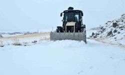 Yüksek rakımlı Aydınlar beldesinde kar esareti başladı