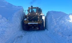 Yüksekova'da 3 metrelik karla zorlu mücadele
