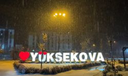 Yüksekova'da lapa lapa kar yağışı