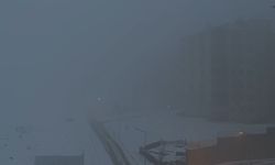 Yüksekova'da yoğun sis hayatı felç etti