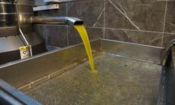 Zeytinyağı fiyatları belli oldu, fiyatlarda artış yaşandı