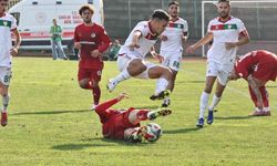Ziraat Türkiye Kupası: Yalova FK: 0 - Gaziantep FK: 2