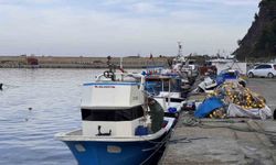 Zonguldak'ta hamsi yoğunluğu yaşandı, palamut çıkmadı