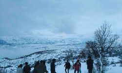 Arıcak'ta yaban hayvanları unutulmadı