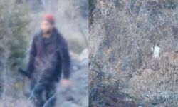 Artvin'de yasa dışı avcılığa geçit yok