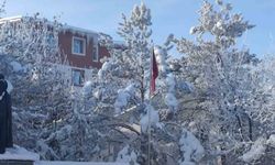 Aşkale'de dondurucu soğuklar hayatı felç etti