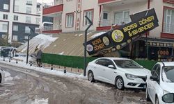 Batman'da kar nedeniyle iş yerlerin sundurması çöktü
