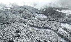 Beyaz örtüyle Uludağ'ın virajları görsel şölene dönüştü