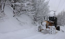 Beyaza bürünen Sakarya'da 36 noktada kar küreme çalışmaları sürüyor