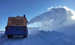 Bingöl'de karla mücadele çalışmaları sürüyor