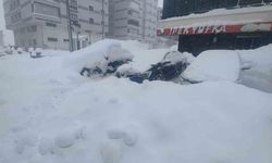 Bitlis'te kuvvetli kar, fırtına ve çığ tehlikesi uyarısı