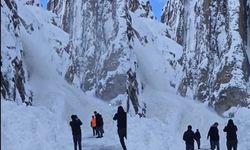Çukurca yolunda inen çığ görüntülendi