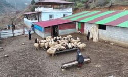 Depremzede besici devlet desteğiyle hayata tutundu