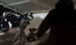 Dicle Üniversitesi'ndeki yurdun otopark çatısı çöktü