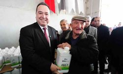 Don zararına karşı Manisa Büyükşehir'den üreticiye destek