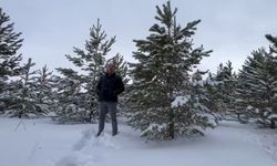 Dondurucu soğuğa aldırış etmeden akarsuya girdi