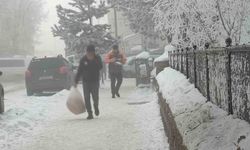 Dondurucu soğukların etkili olduğu Ardahan'da hayat durma noktasına geldi