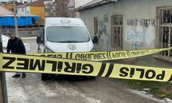 Elazığ'da rastgele ateş ederek 1 kişiyi yaralayan şüpheli yakalandı