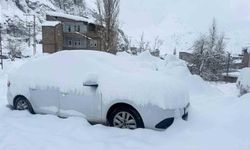 Hakkari'de 220 yol ulaşıma açıldı, karla mücadele sürüyor