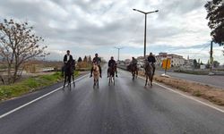 İncirliova'da Rahvan atları yarışlara hazırlanıyor