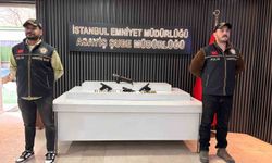 İstanbul'da yeni nesil suç çetelerine operasyon: 18 tutuklama