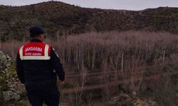 Jandarma ekipleri doğadaki canlıları unutmadı