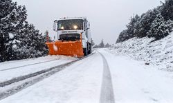 Kar kalınlığı 25 santimetreye ulaşan Çameli'nde saha çalışmalar devam ediyor
