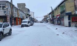 Kar ve buzla kaplı Karlıova sessizliğe büründü