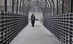 Kars'ta soğuktan ağaçlar kırağı tuttu