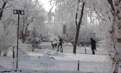 Kırağı sonrası görsel şölen oluştu