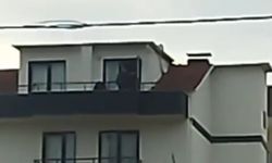 Kocaeli'de FETÖ operasyonu: Saklandığı çatıda yakalandı