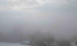 Kulp ilçesinde yoğun sis etkili oldu