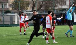 Muhammed Tolga Şahin, son 2 maçta 6 gol attı