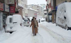 Muş'ta yoğun kar yağışı hayatı olumsuz etkiledi