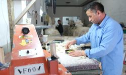 Norveç'ten gelen deriler Erzincan'da gelenekle buluşuyor