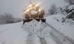 Ordu'da karla mücadele: Kardan kapanan 510 mahalle yolu ulaşıma açıldı