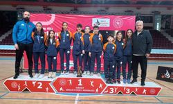 Osmangazili badmintoncular, Türkiye Şampiyonası'nda parladı