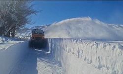 Ovacık'ta kar kalınlığı 2 metreyi buldu: Karla mücadele çalışmaları sürüyor