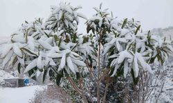 Pütürge'de kartpostallık görüntüler