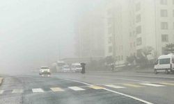 Şanlıurfa'da yoğun sis ve yağmur etkili oluyor
