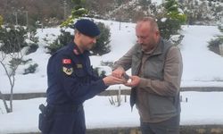 Sinop'ta jandarma ekipleri yaralı kuşa umut oldu