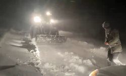 Sivas'ta kar ve tipi ulaşımda aksamalara neden oldu