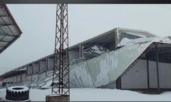 Siverek'te kar felaketi: Ahırlar ve sanayi sitelerinde çatılar çöktü