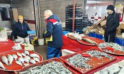 Su ürünleri denetlendi, balık boyları tek tek ölçüldü