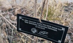 Talas Belediyesi'nden geleceğe nefes: Her bebek için bir fidan