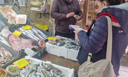 Tekirdağ'da perakende balık satış yerlerine denetim